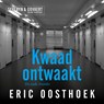 Kwaad ontwaakt - Eric Oosthoek - 9789082993493