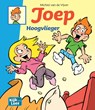 Joep Hoogvlieger - Michiel Van de Vijver - 9789083018690