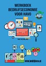 Werkboek bedrijfseconomie voor havo - Theo Roos - 9789083191539