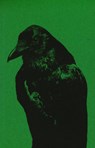 Flipping the Bird - Jaap Scheeren ; Rik van den Bos - 9789083225135