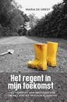 Het regent in mijn toekomst - Maria de Greef - 9789083324135