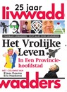 Het vrolijke leven in een provinciehoofdstad - Andries Veldman - 9789083344812