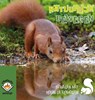 Natuurlijk bewegen - Fantasynovels.be - 9789083453774