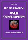 The Big Problem: Overconsumption - Bart Flos - 9789083490816