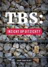 TBS : inzicht op uitzicht? - Jaap van Vliet - 9789085603788