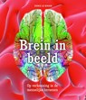 Brein in beeld - Denis Le Bihan & Tom Kortbeek ; Ansfried Scheifes - 9789085714156