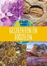 Gesteenten en fossielen - Annabel Griffin - 9789086649815