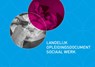 Landelijk opleidingsdocument sociaal werk -  - 9789088507533