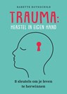 Trauma: herstel in eigen hand - Babette Rothschild - 9789088509254