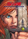 Storm, kronieken van roodhaar Hc03. de ark van noorach (dossier editie) - romano molenaar - 9789088863431