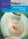 Vitaal houden van de pulpa - Till Dammaschke ; Georg Benjamin - 9789089763969
