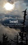 Paving the path for the AntichristI ISRAEL The 'Promised Land' in the 'End Times' - R. De Ruiter - 9789090406008