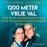 1200 meter vrije val - Victoria Cilliers - 9789189973862