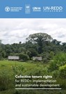 Collective tenure rights for REDD+ implementation and sustainable development - Amanda Bradley ; Food and Agriculture Organization ; Serena Fortuna - 9789251340158