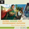 Global gender and environment outlook 2016 - United Nations Environment Programme - 9789280735505