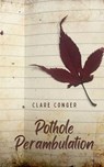Pothole Perambulation - Clare Conger - 9789357617475