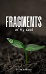 Fragments of My Soul - Brian Roberts - 9789357618182