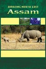 Amazing North East_ Assam - Aribam Indubala Devi - 9789380177243