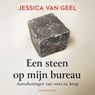 Een steen op mijn bureau - Jessica van Geel - 9789400412859