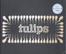Tulips - Wim T. Schippers - 9789400413375