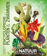 Lannoo's grote encyclopedie van planten en zwammen -  - 9789401497640