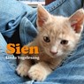 Sien - L. Vogelesang - 9789402100310
