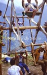 Toffe Ellende (Harm) - Harm Hilgevoord - 9789402169638