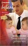 Twee kleine geheimen - Michelle Celmer - 9789402510560