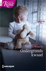 Ondergronds kwaad - Danica Winters - 9789402529470