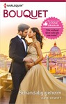 Schandalig geheim - Kate Hewitt - 9789402539622