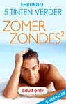 Zomerzondes 2 - 5 Tinten Verder - Elisa Adams ; Eden Bradley ; Jina Bacarr ; Lacy Danes ; Lauren Hawkeye - 9789402547979