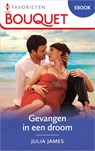 Gevangen in een droom - Julia James - 9789402563979