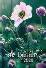 Banier Dagboekkalender 2020 - Diverse Predikanten - 9789402907438