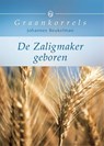 De Zaligmaker geboren - Johannes Beukelman - 9789402915778