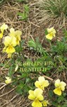 De idyllische identiteit - Ruud Offermans - 9789403622323