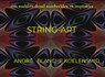 STRING-ART - André Blanche Koelensmid - 9789403675961