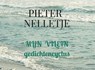MIJN VILEIN - Pieter Nelletje - 9789403709604