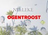 OGENTROOST - PIETER NELLEKE - 9789403729893