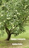 Hidden Treasures - Camilla Praller - 9789403746296