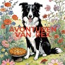 Avonturen van Border Collie Rex - Kelly Black - 9789403771243