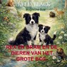 Rex en Bram en de Dieren van het Grote Bos. - Kelly Black - 9789403850726