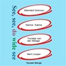 See, see, do wide see - Meindert Schroor ; Nanne Kalma ; Tryntsje van der Steege ; Bert Looper - 9789460380815