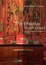 The effective youth court - Stephanie Rap ; Ido Weijers - 9789460949548