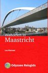 Wandelen in Maastricht - Leo Platvoet - 9789461231376