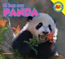 Panda - Steve Macleod - 9789461750877