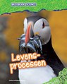 Levensprocessen - Max Wainewright - 9789461753922