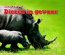 Dieren in gevaar! - Abbie Dunne - 9789461755827
