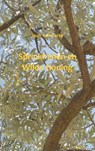 Sprinkhanen en wilde honing - Jean Voieverte - 9789461933140