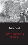 Irish het geheim v/d ruine 2 - Ivan Grud - 9789461936974