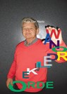Wanordelijke orde - Hugo van Mierlo - 9789461937025